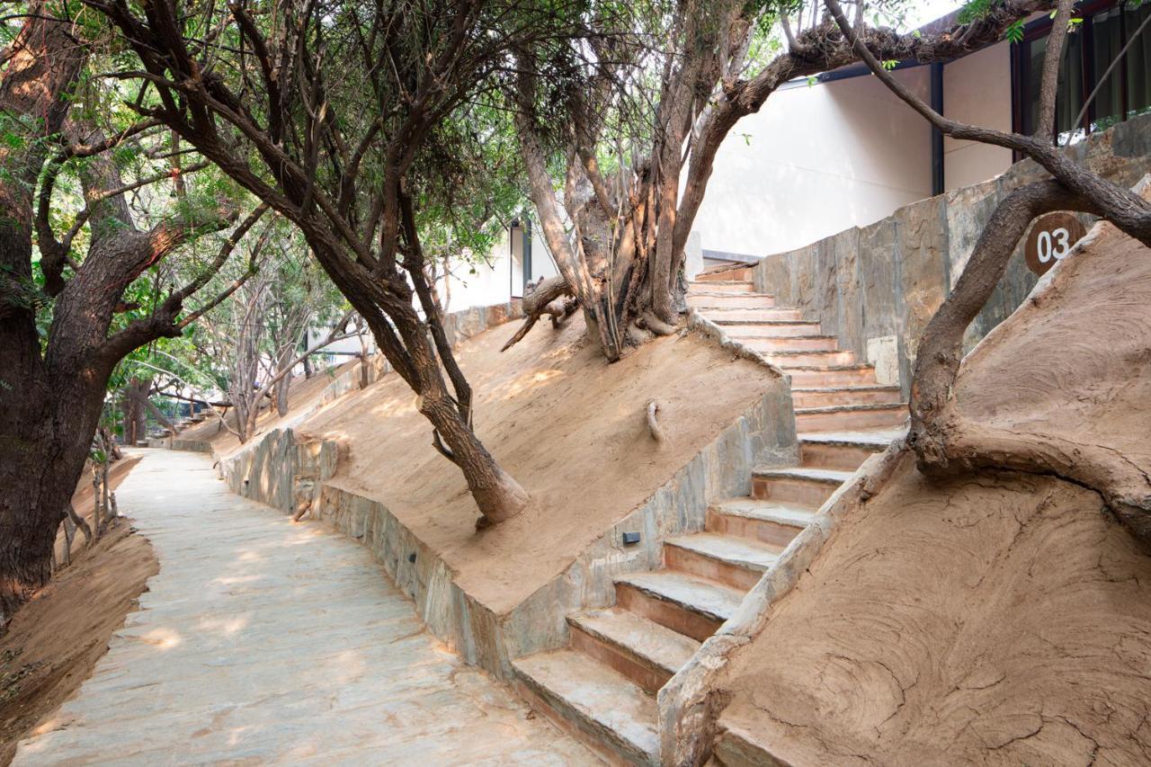 Raas Chhatrasagar, Nimaj, District Pali Экстерьер фото